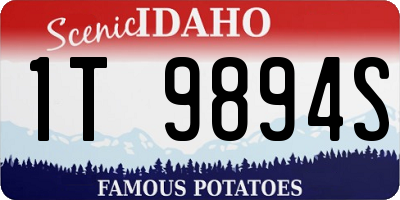 ID license plate 1T9894S