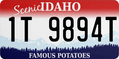 ID license plate 1T9894T