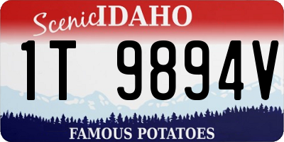 ID license plate 1T9894V
