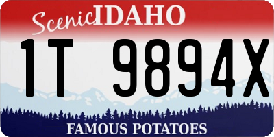 ID license plate 1T9894X