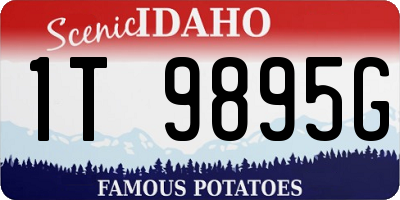 ID license plate 1T9895G