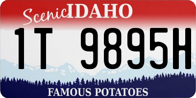 ID license plate 1T9895H