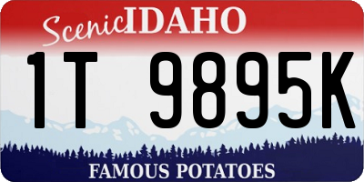 ID license plate 1T9895K