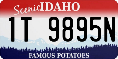 ID license plate 1T9895N
