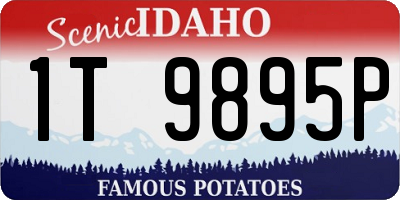 ID license plate 1T9895P
