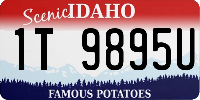 ID license plate 1T9895U