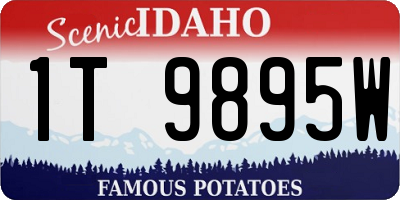 ID license plate 1T9895W