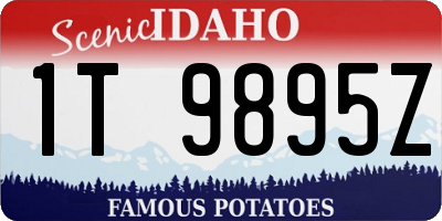 ID license plate 1T9895Z