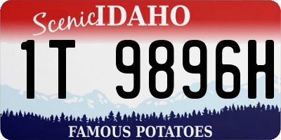 ID license plate 1T9896H