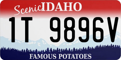 ID license plate 1T9896V