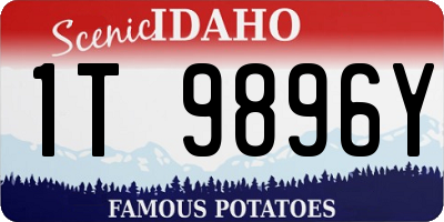 ID license plate 1T9896Y