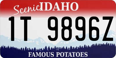 ID license plate 1T9896Z