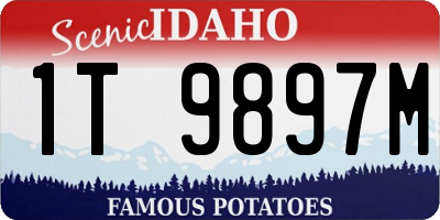 ID license plate 1T9897M