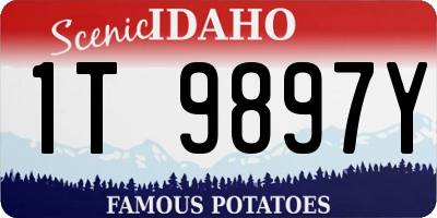 ID license plate 1T9897Y