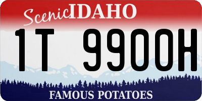 ID license plate 1T9900H