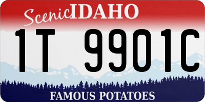 ID license plate 1T9901C