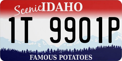 ID license plate 1T9901P