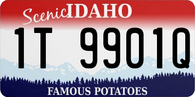 ID license plate 1T9901Q