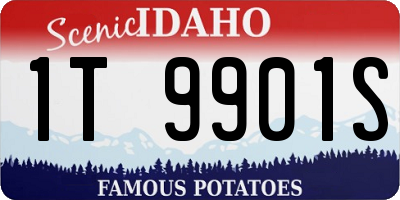 ID license plate 1T9901S