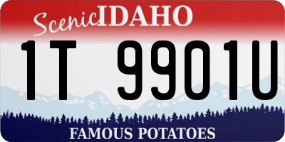 ID license plate 1T9901U