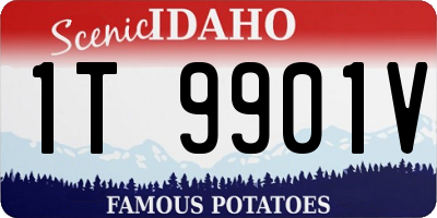ID license plate 1T9901V