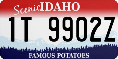 ID license plate 1T9902Z
