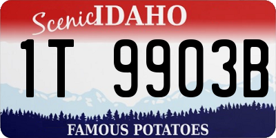 ID license plate 1T9903B