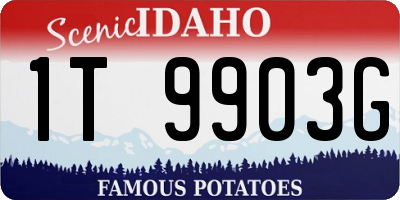 ID license plate 1T9903G