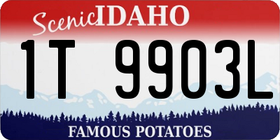 ID license plate 1T9903L