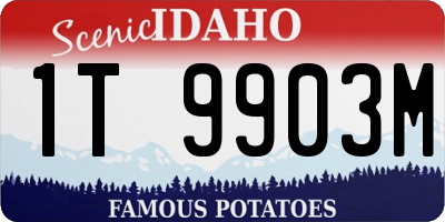ID license plate 1T9903M