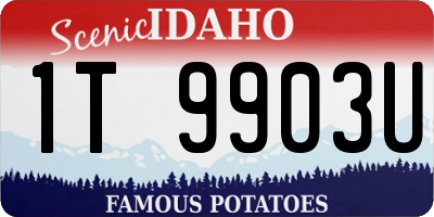 ID license plate 1T9903U