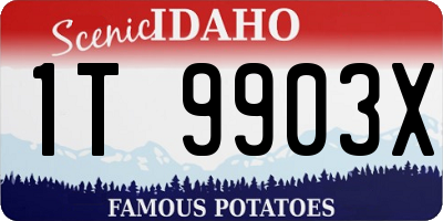 ID license plate 1T9903X