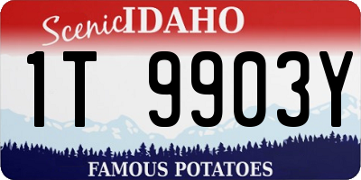 ID license plate 1T9903Y