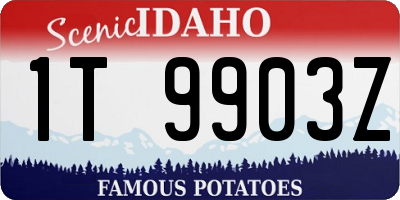 ID license plate 1T9903Z