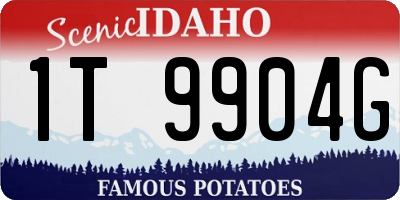 ID license plate 1T9904G