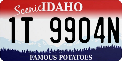 ID license plate 1T9904N