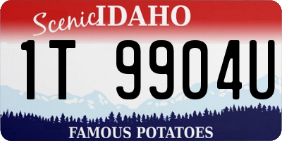 ID license plate 1T9904U