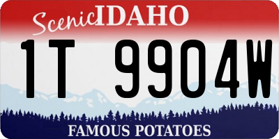 ID license plate 1T9904W
