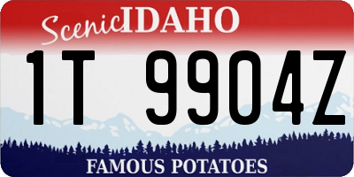 ID license plate 1T9904Z