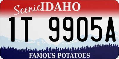 ID license plate 1T9905A