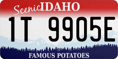 ID license plate 1T9905E