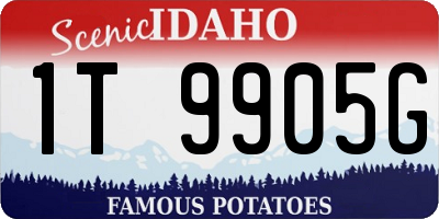 ID license plate 1T9905G