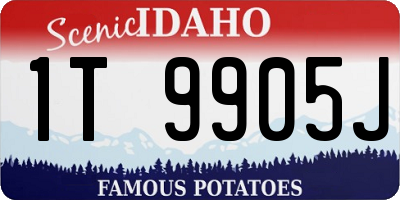ID license plate 1T9905J