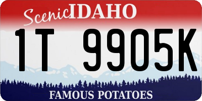 ID license plate 1T9905K
