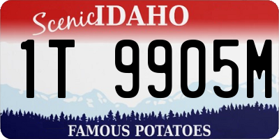 ID license plate 1T9905M