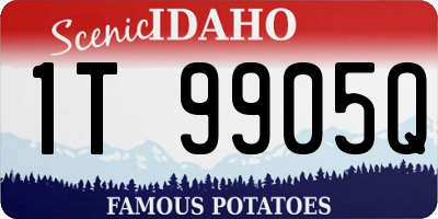 ID license plate 1T9905Q