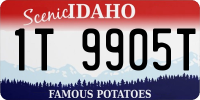 ID license plate 1T9905T