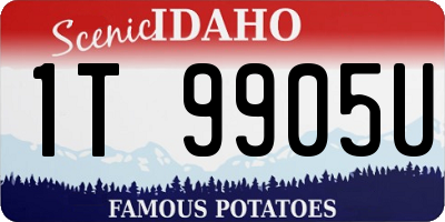 ID license plate 1T9905U