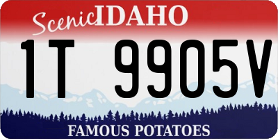 ID license plate 1T9905V