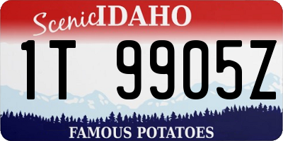 ID license plate 1T9905Z